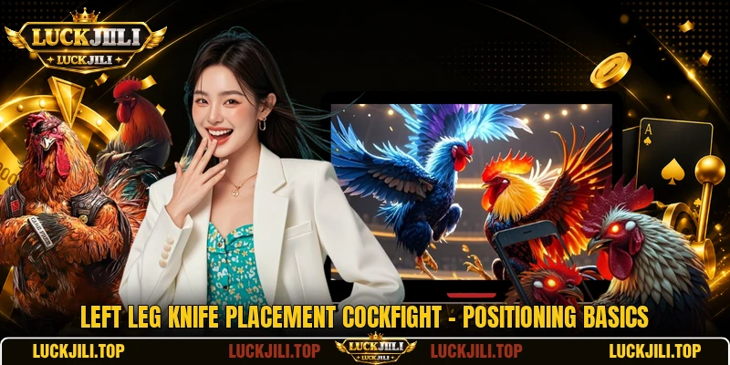 Left Leg Knife Placement Cockfight - Positioning Basics