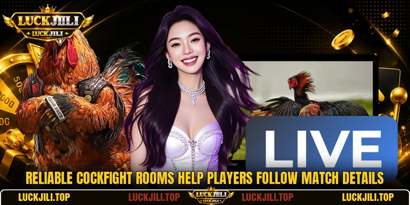 Reliable cockfight rooms help players follow match details
