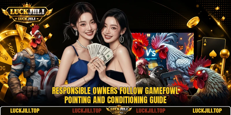 Responsible owners follow gamefowl pointing and conditioning guide Responsible owners follow gamefowl pointing and conditioning guide